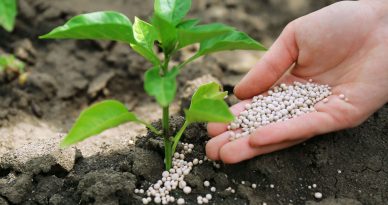 Gobierno del Perú construirá planta de fertilizantes