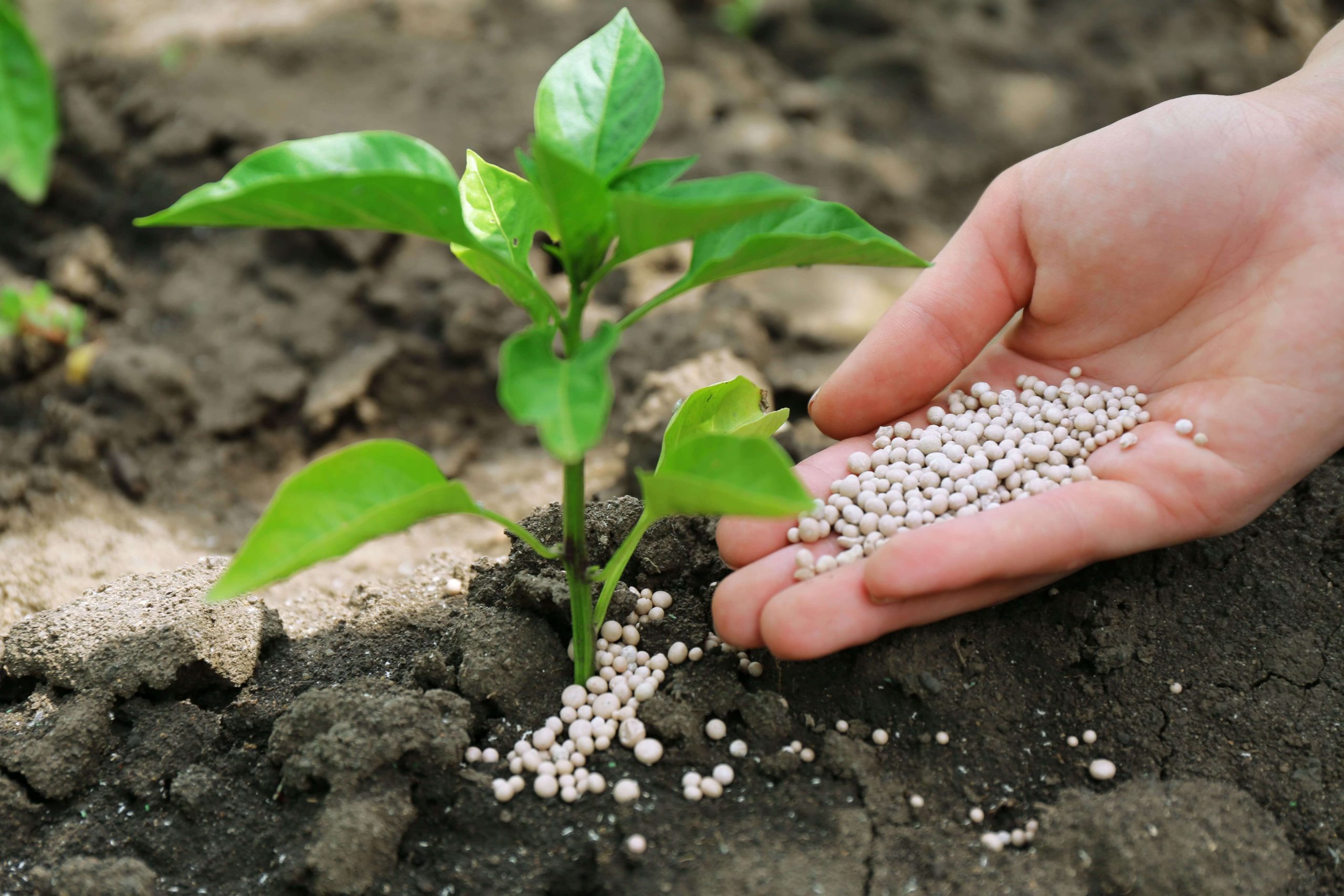 Gobierno del Perú construirá planta de fertilizantes