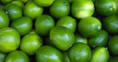exportaciones limon tahiti agricultura peru
