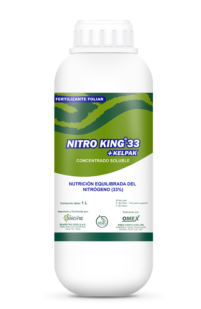 Nitro King 33 + KELPAK